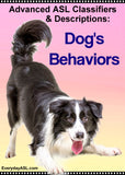 New! ASL Classifiers & Descriptions: Cat's and Dog's Behaviors 2-DVD Set + FREE S&H