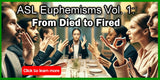 New! ASL Euphemisms Vol. 1: From Died to Fired USB Flash Drive + Free S&H