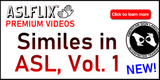 NEW! Similes in ASL, Vol. 1 Film - Online Access with ASLFLIX™ Premium Videos