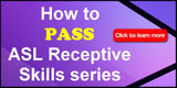 NEW! How to Pass ASL Receptive Skills Tests, Vol. 1: Does It Match? DVD or USB