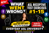 NEW! What Went Wrong? ASL Receptive Test Exercises #1-15 - DIGITAL DOWNLOAD