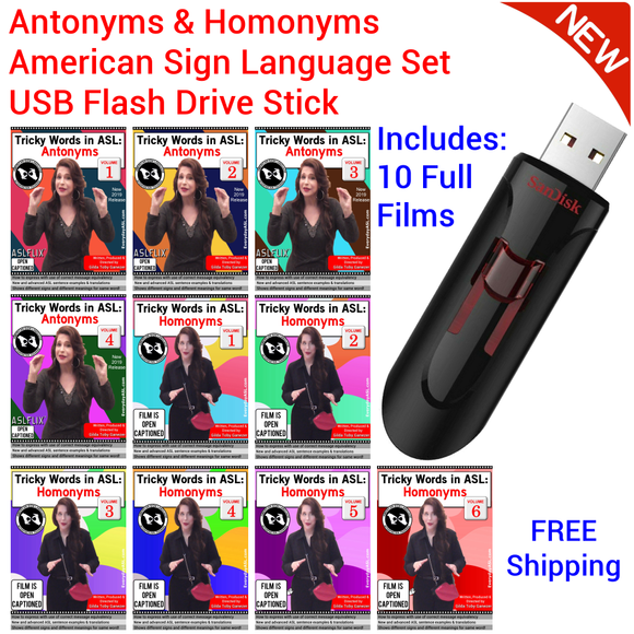 Antonyms and Homonyms in American Sign Language Set USB Flash Drive Stick FREE S&H